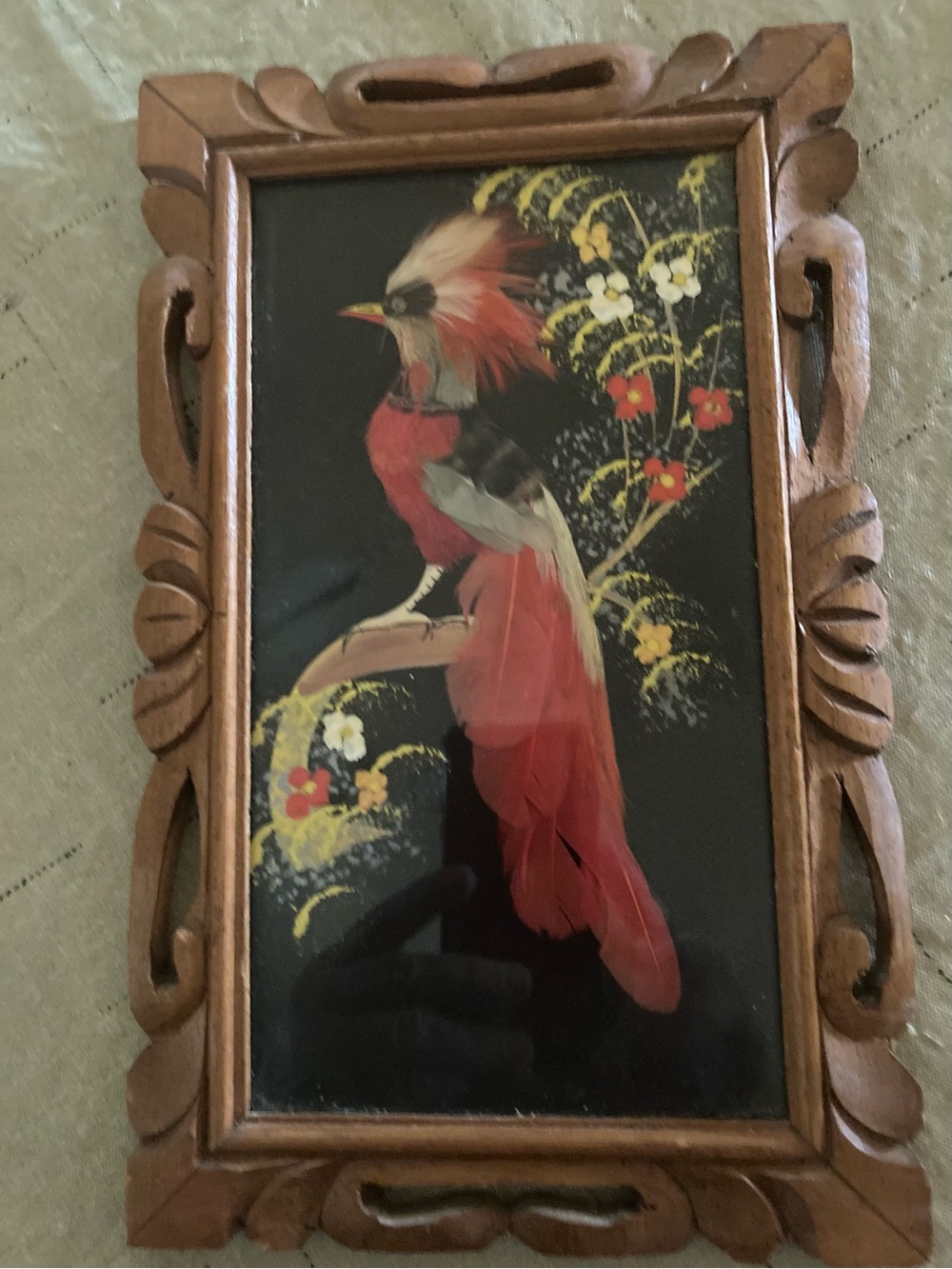 Framed Feathered Bird Wall Art - Red and Black